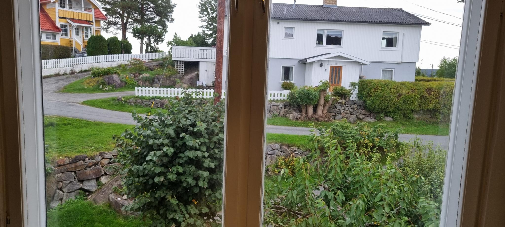 Utsikt mot øst fra kjøkkenet